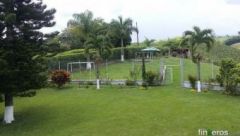FINCA EN ALQUILER PARA SEMANA SANTA. - Finca en Pereira, Risaralda